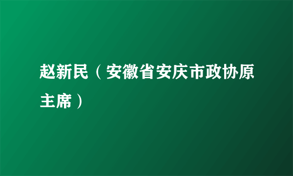 赵新民（安徽省安庆市政协原主席）