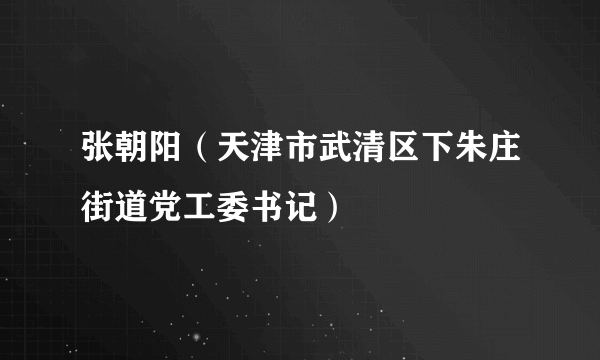 张朝阳（天津市武清区下朱庄街道党工委书记）