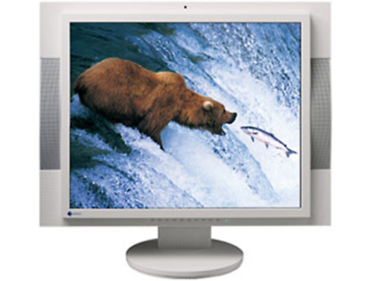 Eizo FlexScan M1950