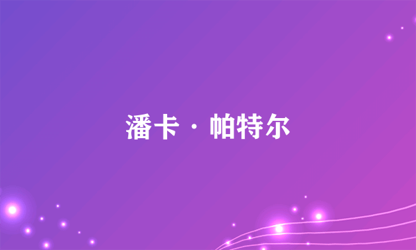 潘卡·帕特尔