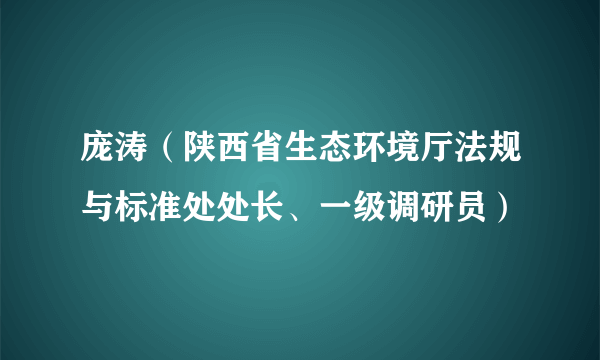 庞涛（陕西省生态环境厅法规与标准处处长、一级调研员）