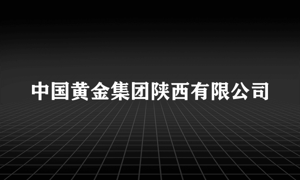 中国黄金集团陕西有限公司