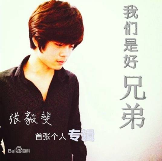 我们是好兄弟（张毅斐演唱歌曲）