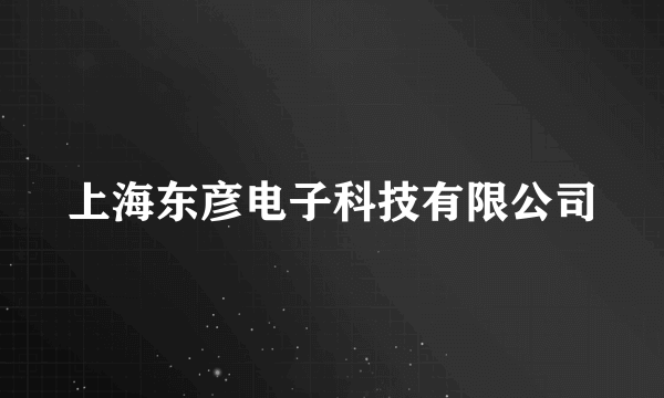 上海东彦电子科技有限公司