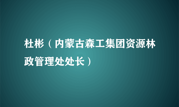 杜彬（内蒙古森工集团资源林政管理处处长）