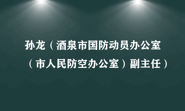 孙龙（酒泉市国防动员办公室（市人民防空办公室）副主任）