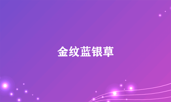 金纹蓝银草