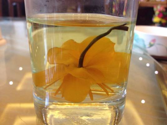 黄瓜花茶