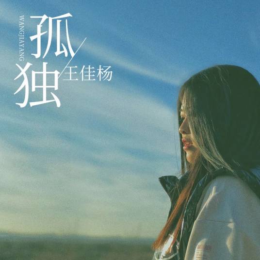 孤独（2019年王佳杨演唱歌曲）