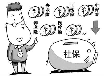 社保的构成