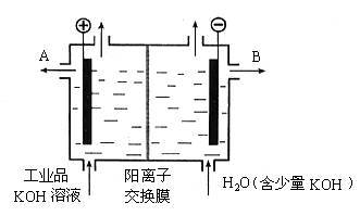 阳极反应