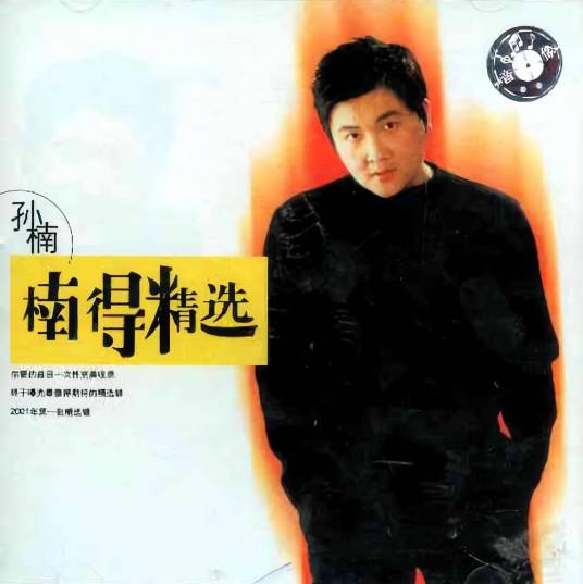 爱得精彩（孙楠《楠得精选》专辑中的歌曲）