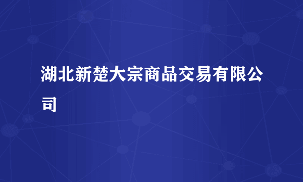 湖北新楚大宗商品交易有限公司