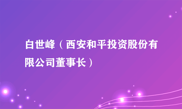 白世峰（西安和平投资股份有限公司董事长）