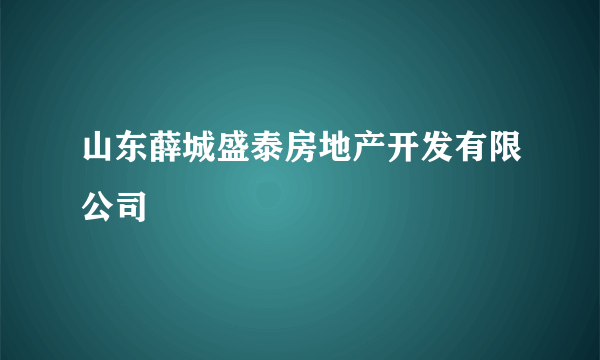 山东薛城盛泰房地产开发有限公司