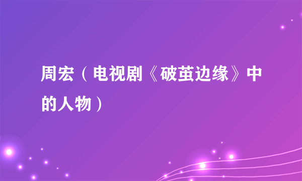 周宏（电视剧《破茧边缘》中的人物）