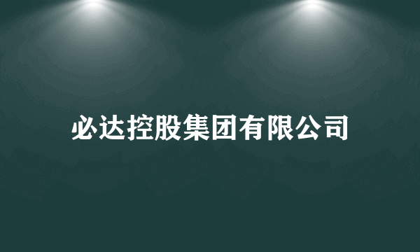 必达控股集团有限公司