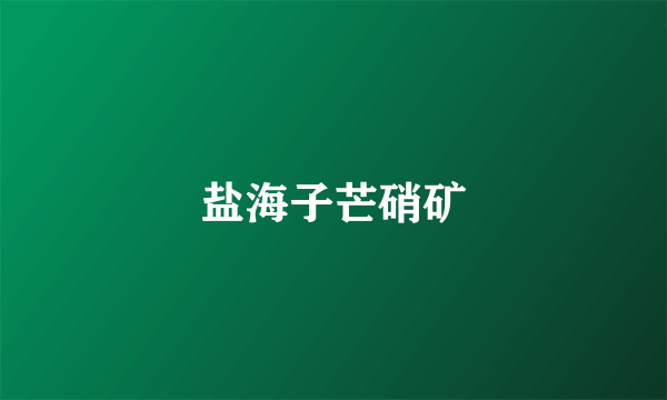 盐海子芒硝矿