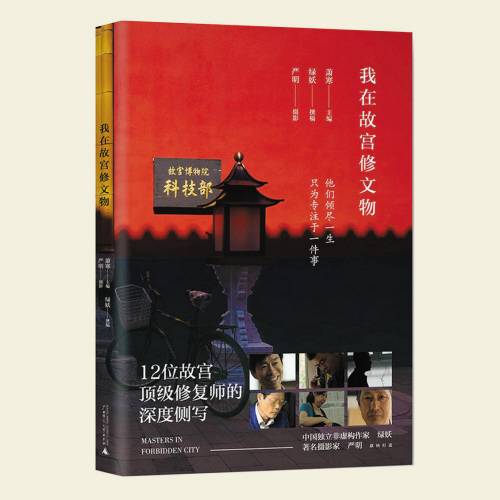 我在故宫修文物（2017年广西师范大学出版社出版的图书）