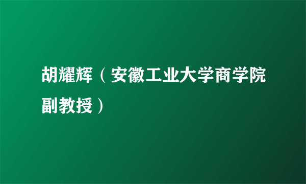 胡耀辉（安徽工业大学商学院副教授）