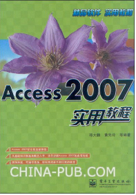 实用教程：Access 2007实用教程