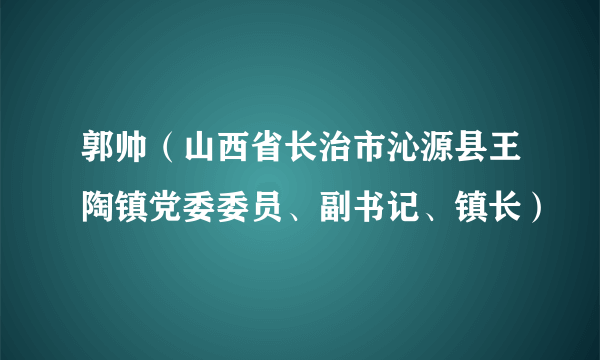 郭帅（山西省长治市沁源县王陶镇党委委员、副书记、镇长）