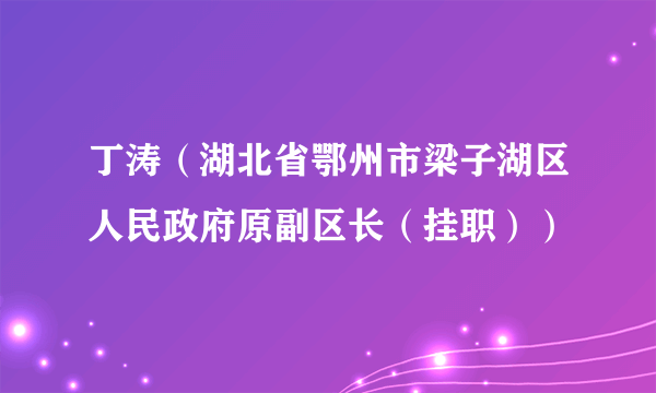 丁涛（湖北省鄂州市梁子湖区人民政府原副区长（挂职））