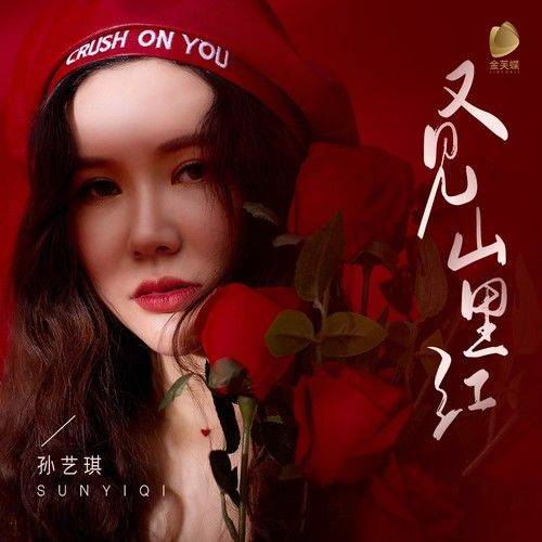 又见山里红（孙艺琪演唱的歌曲）