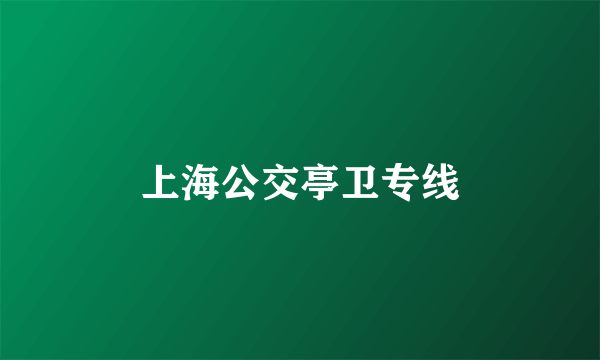 上海公交亭卫专线
