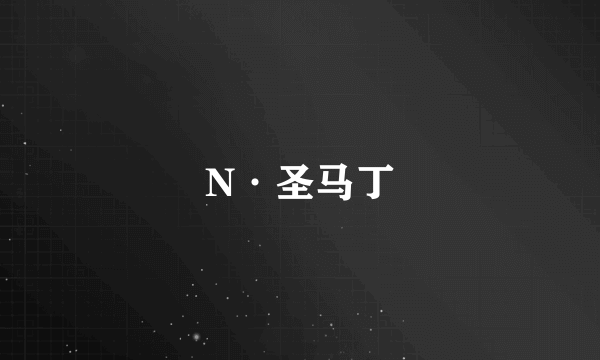 N·圣马丁