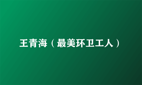 王青海（最美环卫工人）