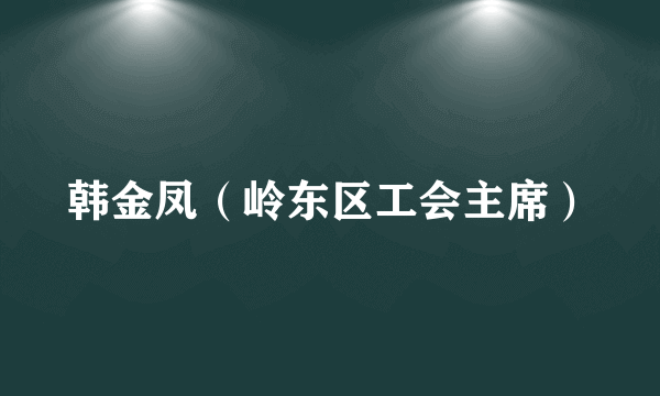 韩金凤（岭东区工会主席）