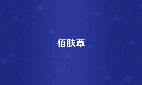 佰肤草