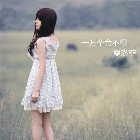 一万个舍不得（夏洛菲歌曲）
