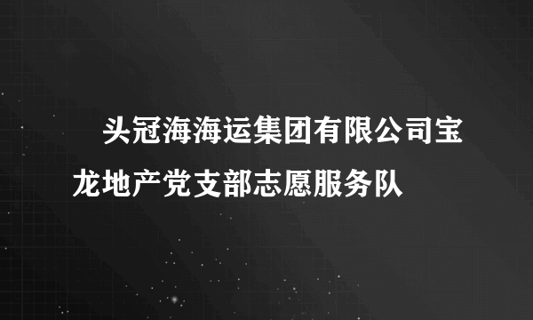 琯头冠海海运集团有限公司宝龙地产党支部志愿服务队