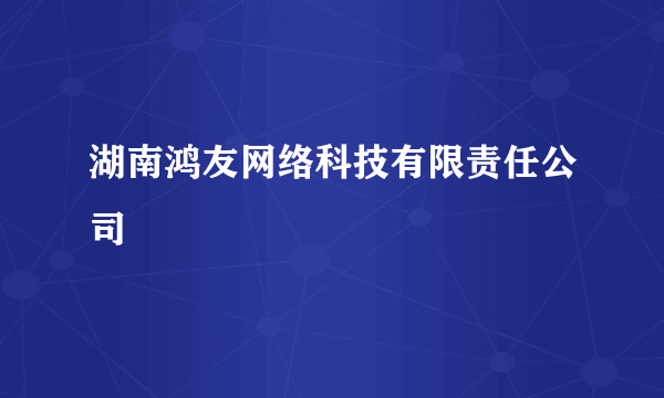 湖南鸿友网络科技有限责任公司