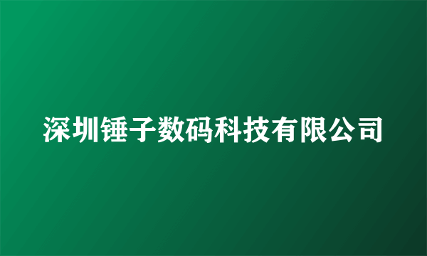 深圳锤子数码科技有限公司