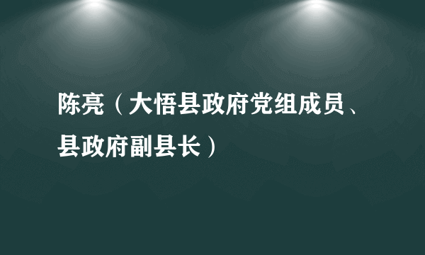 陈亮（大悟县政府党组成员、县政府副县长）