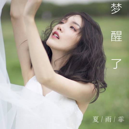 梦醒了（夏雨菲演唱歌曲）