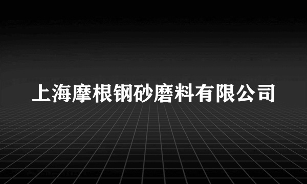 上海摩根钢砂磨料有限公司