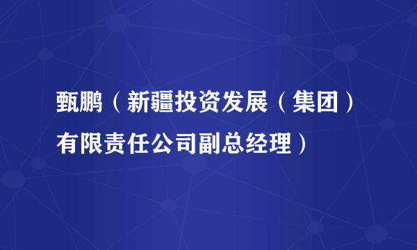 甄鹏（新疆投资发展（集团）有限责任公司副总经理）