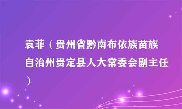 袁菲（贵州省黔南布依族苗族自治州贵定县人大常委会副主任）