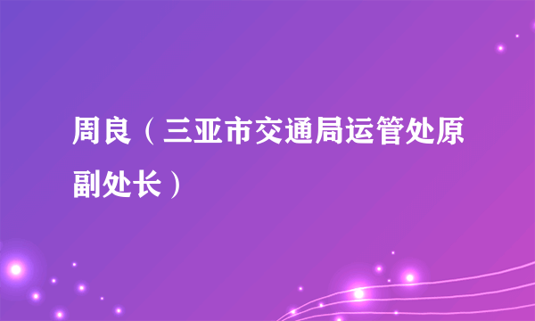 周良（三亚市交通局运管处原副处长）
