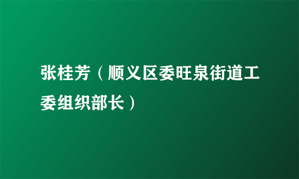 张桂芳（顺义区委旺泉街道工委组织部长）