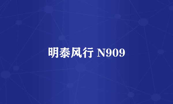 明泰风行 N909