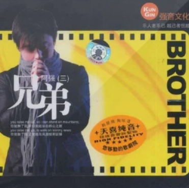 叶子（阿强演唱歌曲）