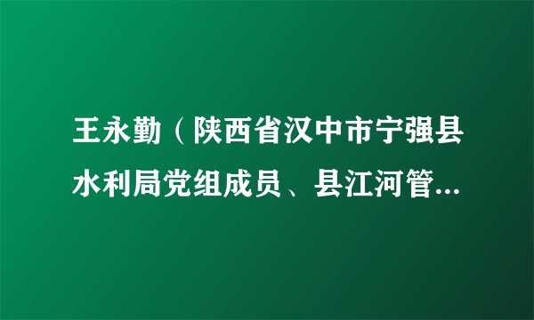 王永勤（陕西省汉中市宁强县水利局党组成员、县江河管理站副站长、水旱灾害防御中心副主任、水利综合执法大队副队长）