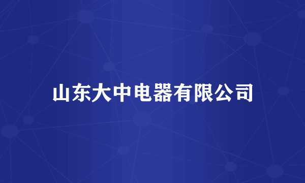 山东大中电器有限公司