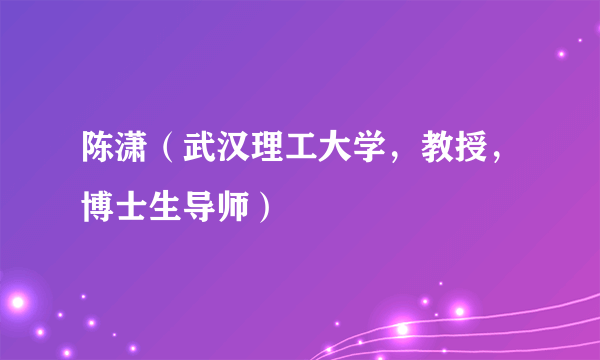 陈潇（武汉理工大学，教授，博士生导师）