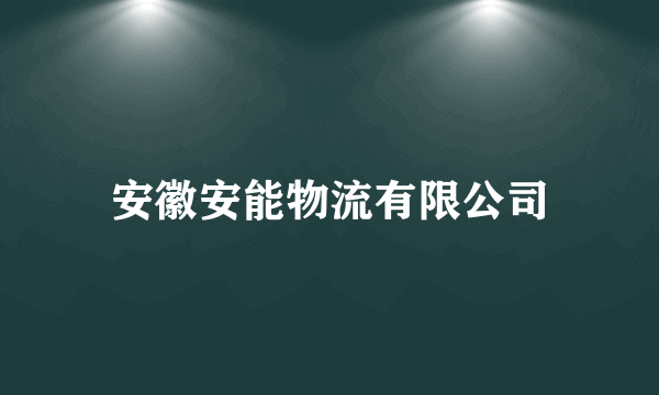 安徽安能物流有限公司
